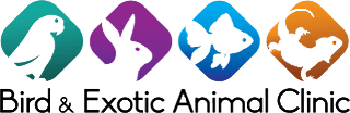 Home - Bird and Exotic Animal Clinic